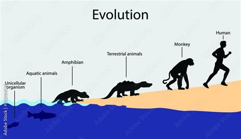  ロイコホリトリクシウムは単細胞生物の進化を体現する驚くべき生き物なのか？